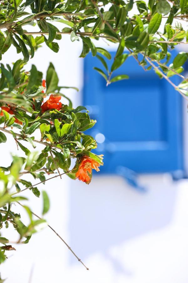 Вілла Mykonos In White Mykonos Town Екстер'єр фото